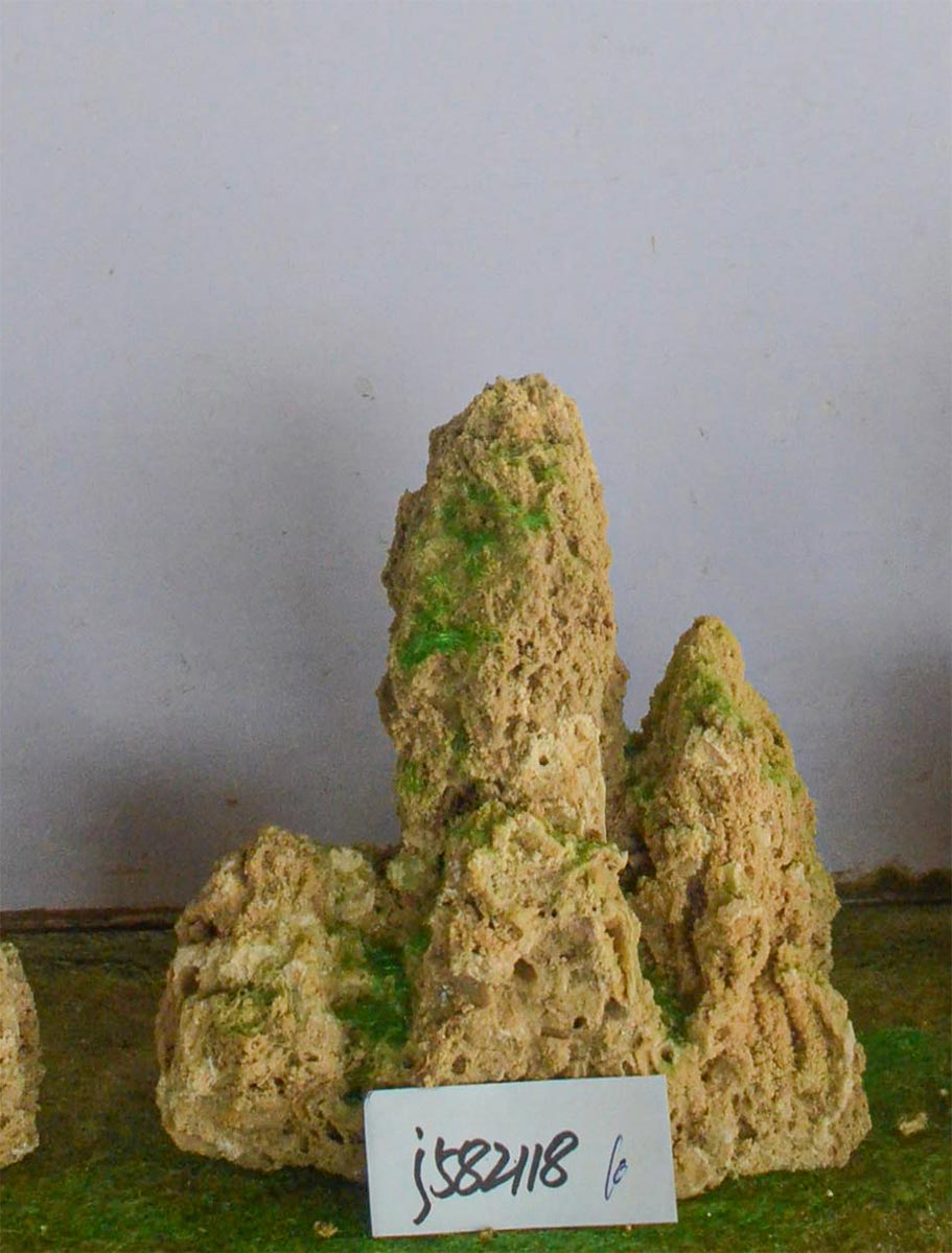 j582118